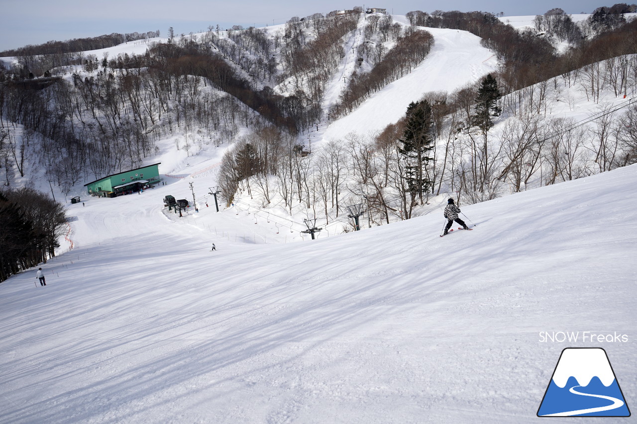 北海道ローカルスキー場巡り 2019 ～ 石狩平原スキー場(当別町)・北海道グリーンランドホワイトパーク(岩見沢市)